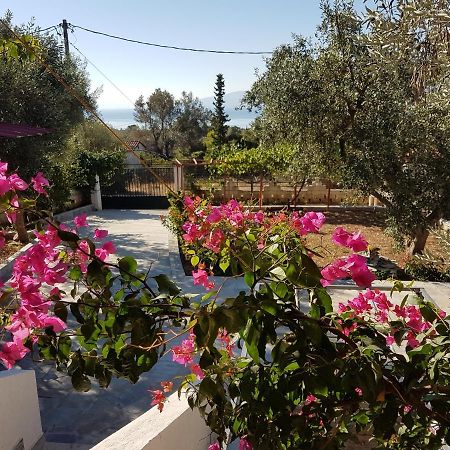 Panorama Apartment Eretria  Exterior photo