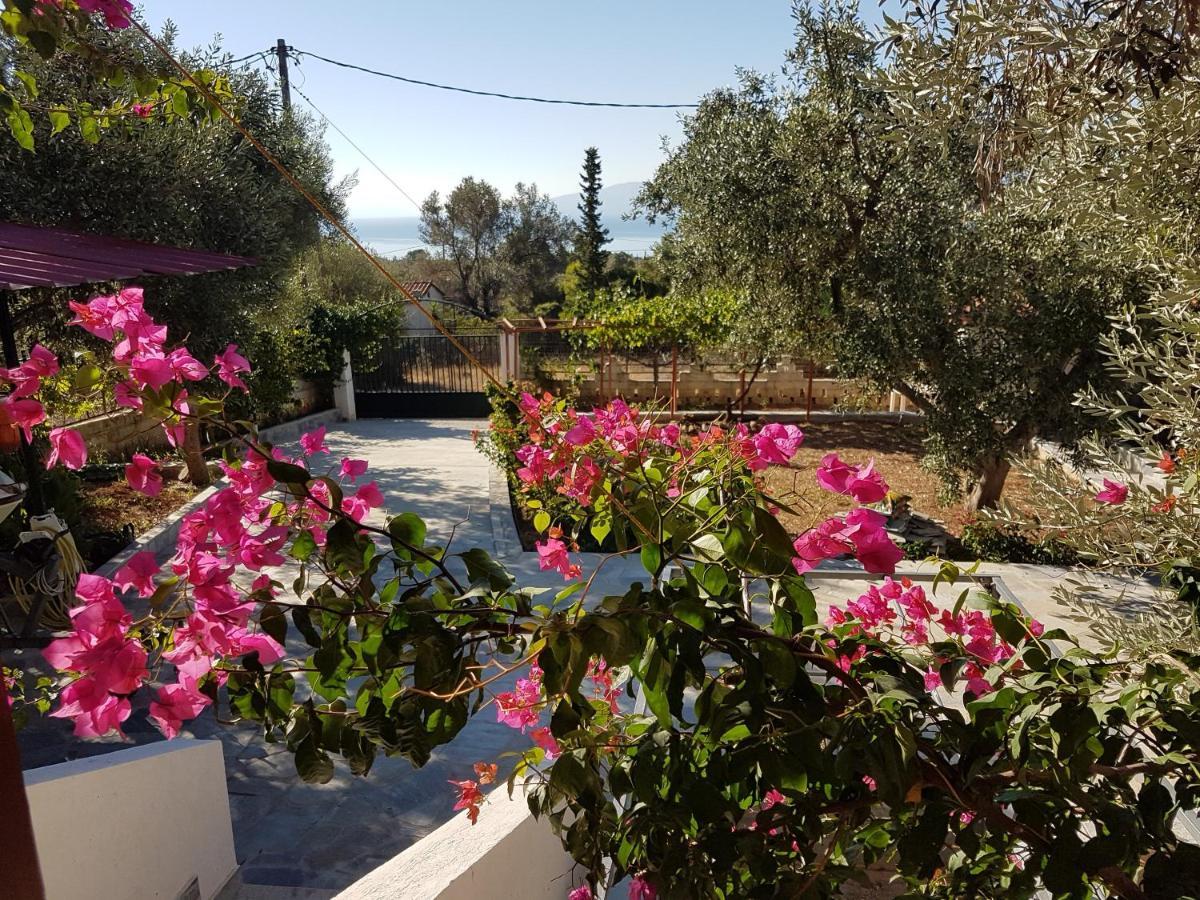 Panorama Apartment Eretria  Exterior photo