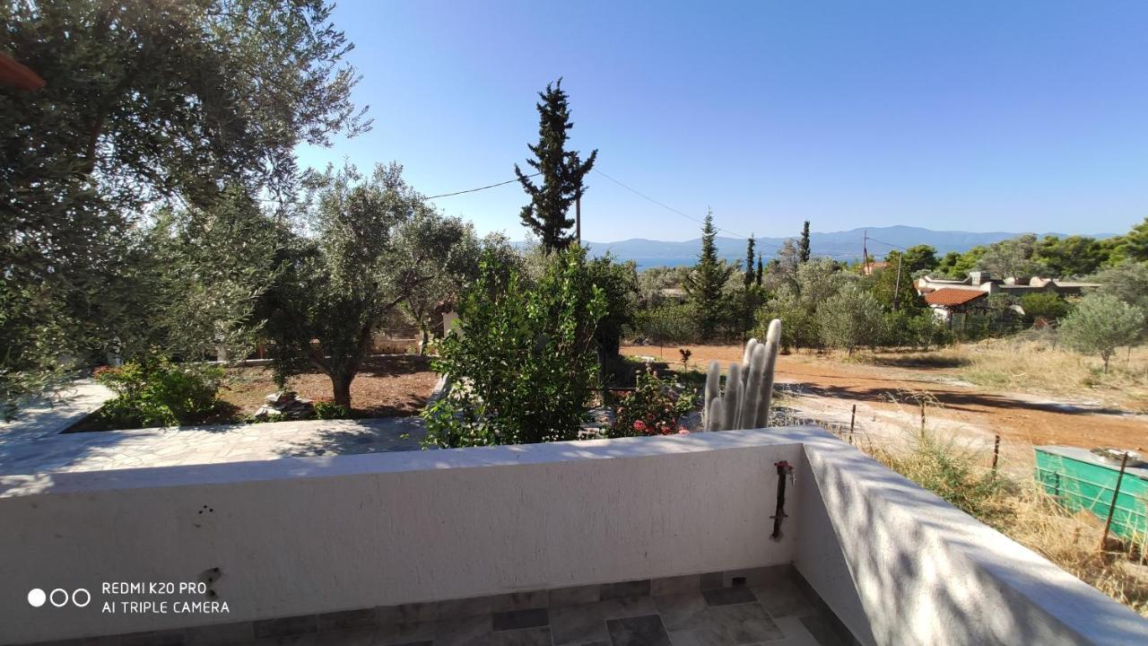 Panorama Apartment Eretria  Exterior photo