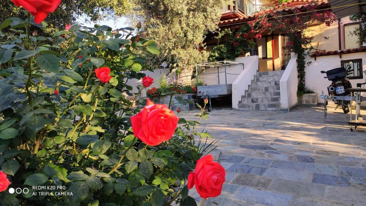 Panorama Apartment Eretria  Exterior photo