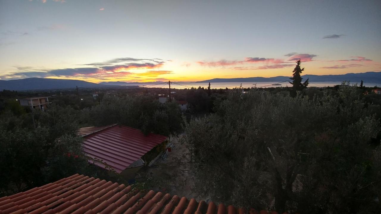 Panorama Apartment Eretria  Exterior photo