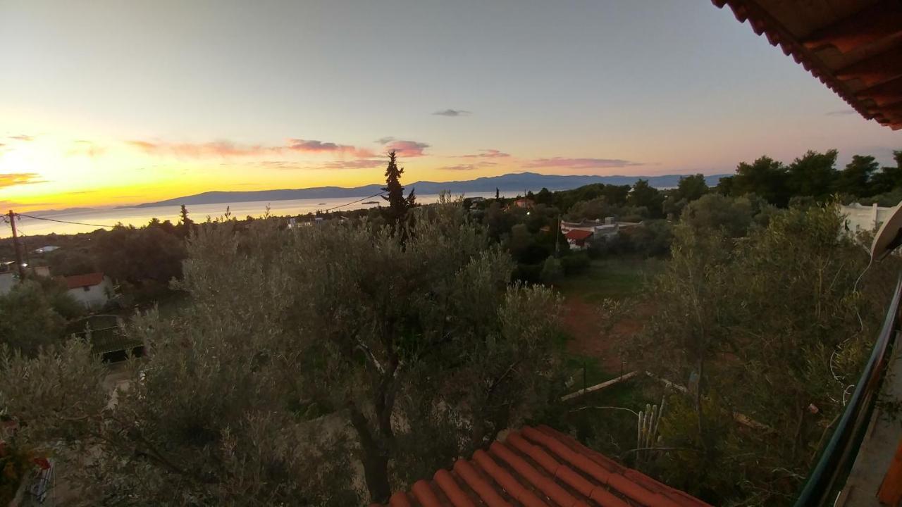 Panorama Apartment Eretria  Exterior photo
