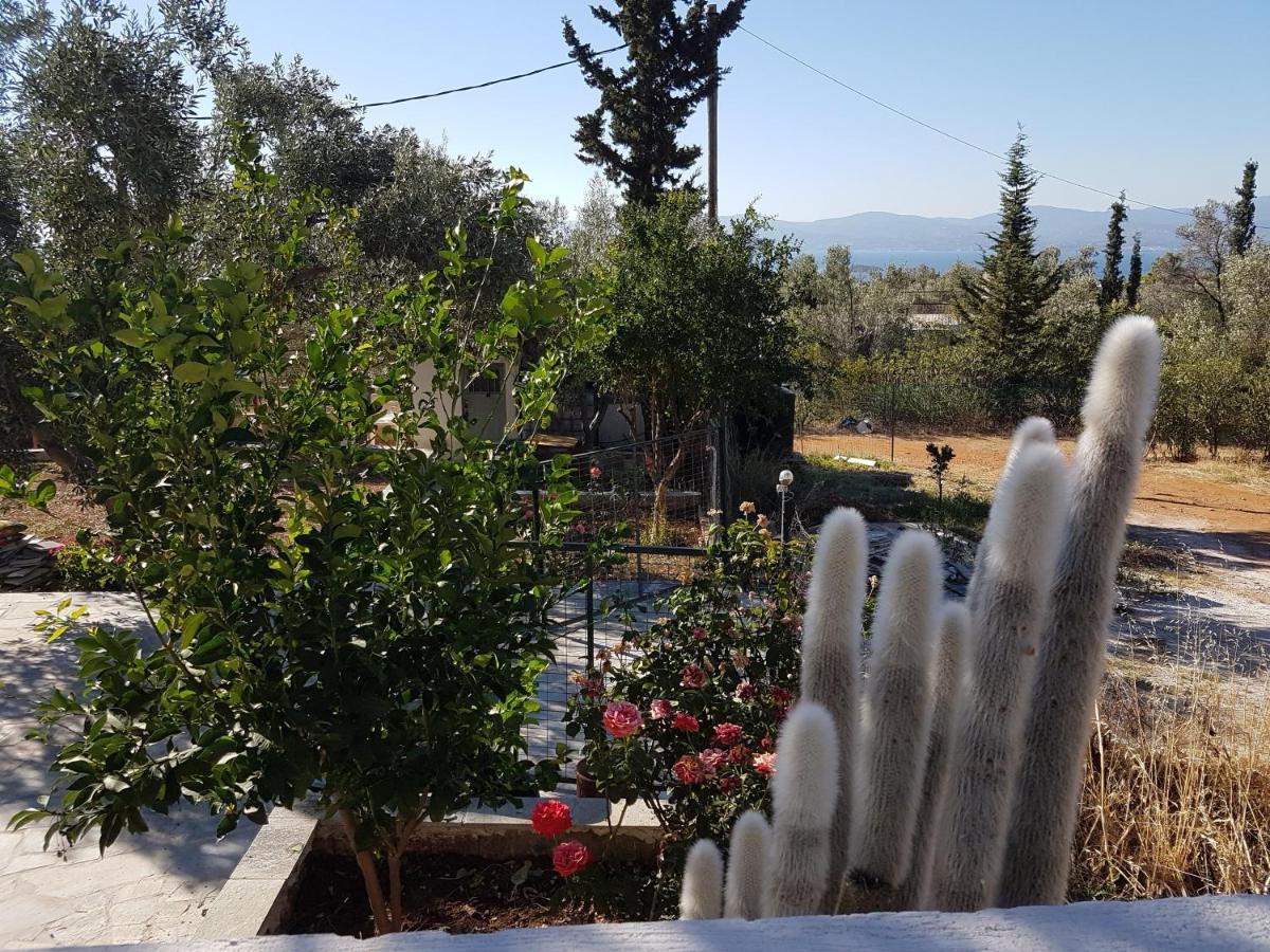 Panorama Apartment Eretria  Exterior photo